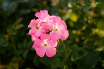C1840498-462F-4D40-8365-A88A8F8EE6A3/L0/001
