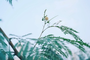 6B81A1F0-630D-4D6F-891E-09AF15C266C5/L0/001
