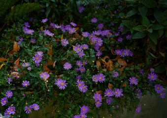 12F1E707-5061-421A-BBDC-CB1AEE6B2C7A/L0/001