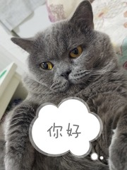 9402