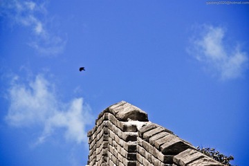 20101004-IMG_5472