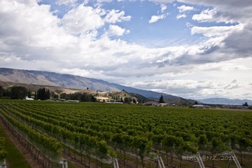 IMG_7562-53