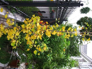 IMG_2533.JPG