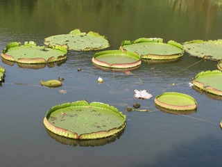 IMG_2578.JPG