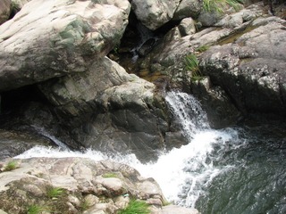 IMG_1131.JPG