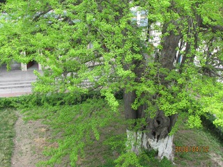 IMG_0022.JPG