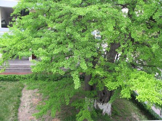 IMG_0049.JPG