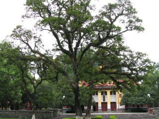 54.JPG