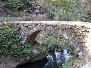 照片 174.jpg