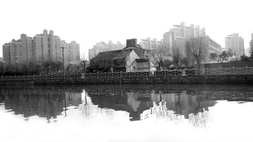 P1020401.jpg