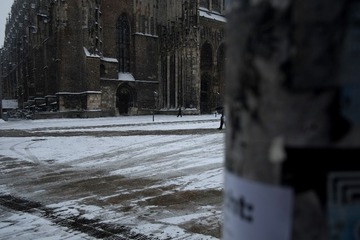 DSCF0782.JPG