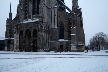DSCF0773--.jpg