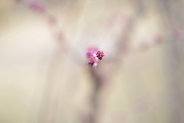 DSC_0050--.jpg