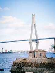 _9122310.jpg