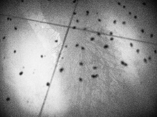 P2010851