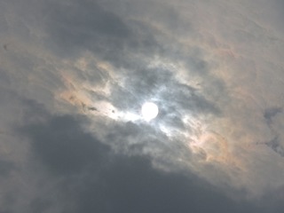7743