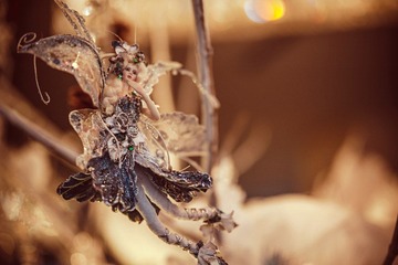 _IMG8673.jpg