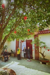 IMG_0168.jpg