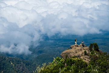 DSC_5563_1