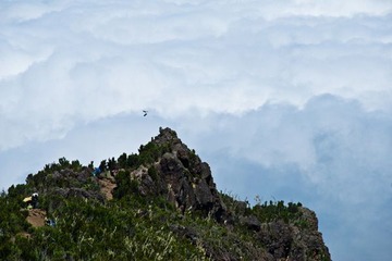 DSC_5597_1