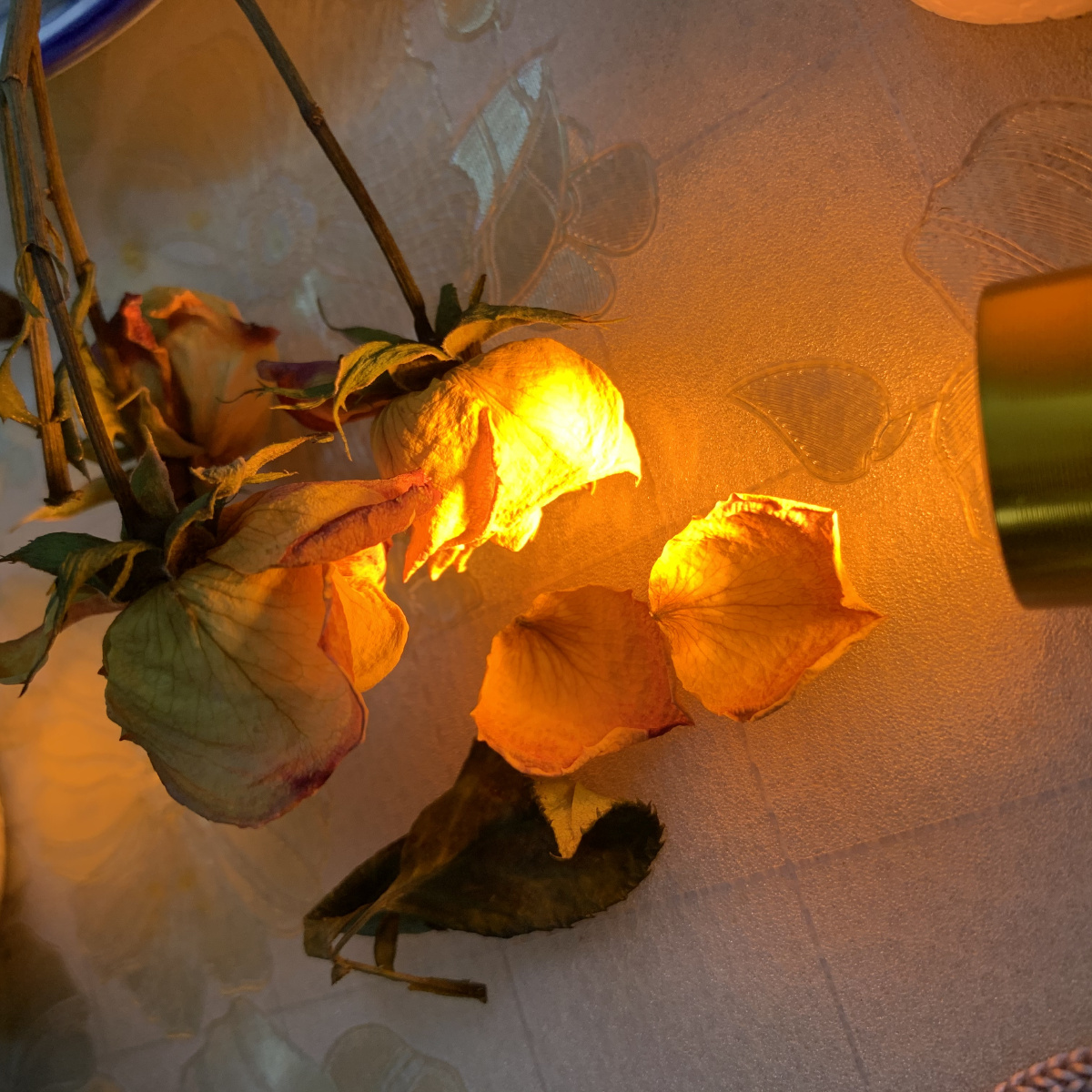 橘色灯光给人温暖的感觉图166成品图图266暴露手电筒