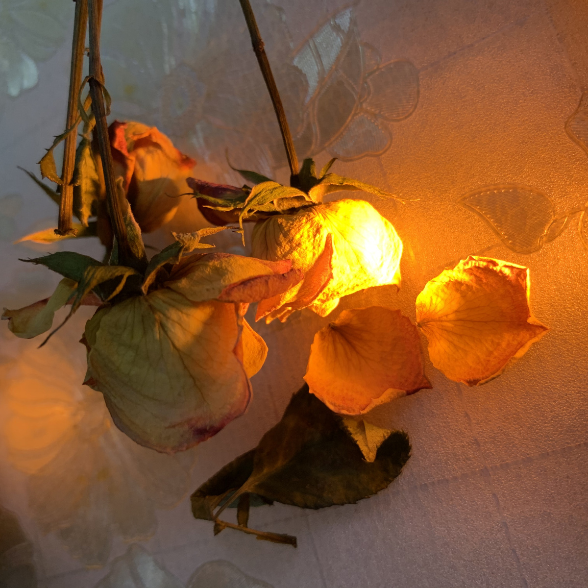 橘色灯光给人温暖的感觉图166成品图图266暴露手电筒