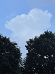 F31929A4-8FAA-45EF-9707-557820F42548