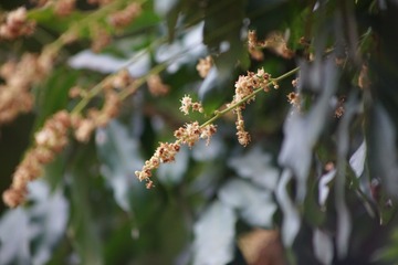 F5B653B8-F545-4D03-B218-7988EF2E9E7F/L0/001