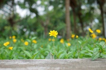 66F58D90-5AFD-466F-B0C3-38E50AB05FC7/L0/001