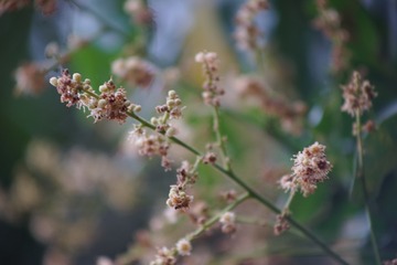 D4BA00FA-D9B4-42C8-99D8-E015772AAB78/L0/001