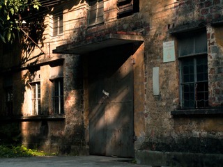 P6060074.jpg