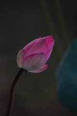 1000103497