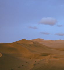 97068017-4455-439A-AC2A-A9D0DBB969E9/L0/001