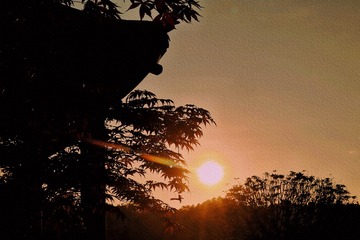 7A4F960D-7A1C-4C43-8451-7861AFF49FD3/L0/001
