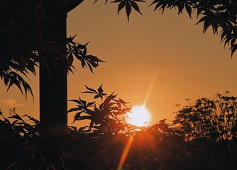 F428BDCA-65FA-461C-992E-BB693B4D396D/L0/001