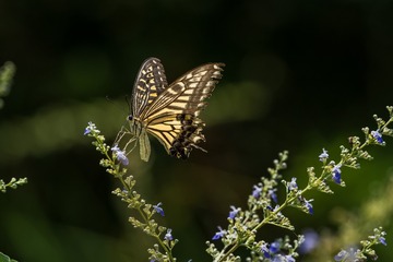 9AE5D977-B8E6-4ED2-849C-88B03E40F720/L0/001