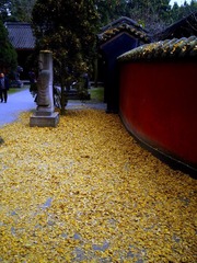 武侯祠游