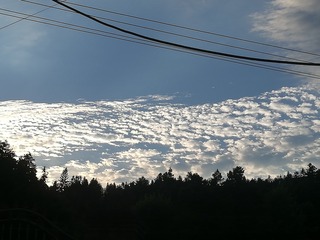 E5DD1FB3-454B-48F7-8C98-341A0F374B65/L0/001