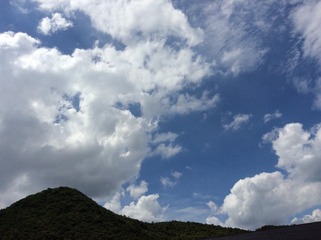 5A77A116-AAC4-41FD-8EBF-8D2F5E4B01E2/L0/001