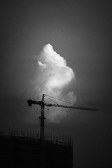 Br_DSC8390