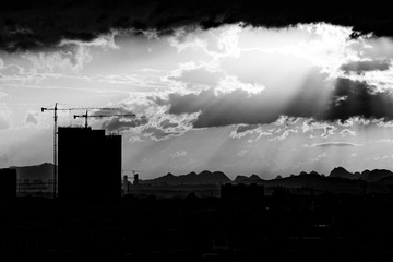 Br_DSC8447