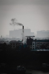 Br_DSC5176