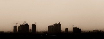Br_DSC5075