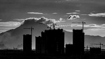 Br_DSC8432 