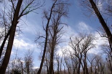 IMGP5163.JPG