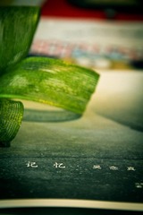 IMG_9666.jpg
