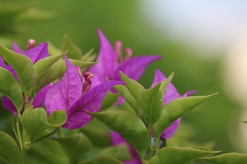 23ABEE2B-2B8A-44A0-9A1B-C3CC46ADFD38/L0/001