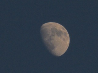 1420228