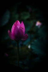 D5381E54-0553-437A-93CA-5AE1675D1C57/L0/001