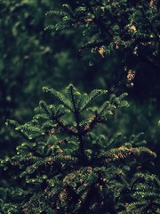 9212F908-FE85-41A3-8A25-D6F1866C8B58/L0/001